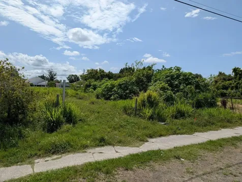 7007 N Manhattan Avenue Tampa FL 33614