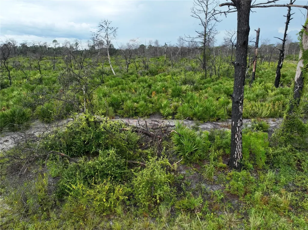 3520 Mariana Avenue Lake Placid FL 33852