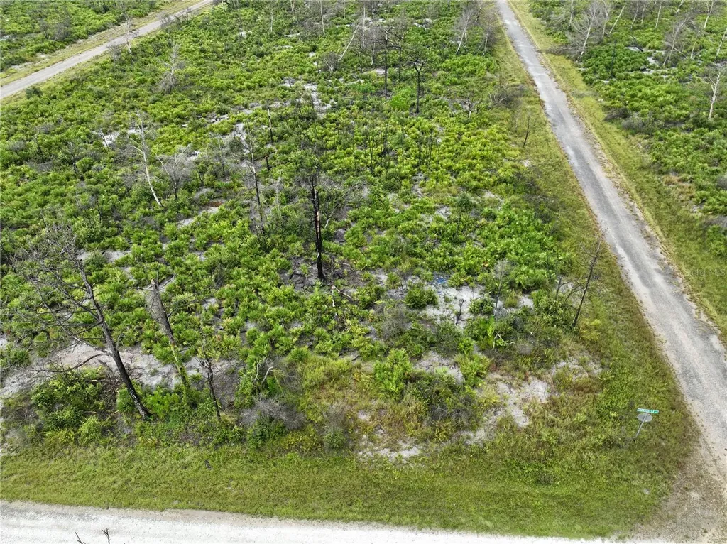 3520 Mariana Avenue Lake Placid FL 33852