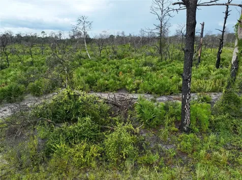 3520 Mariana Avenue Lake Placid FL 33852