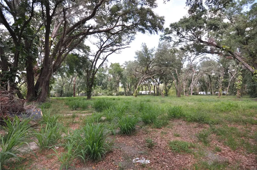 6734 20th Street Zephyrhills FL 33542