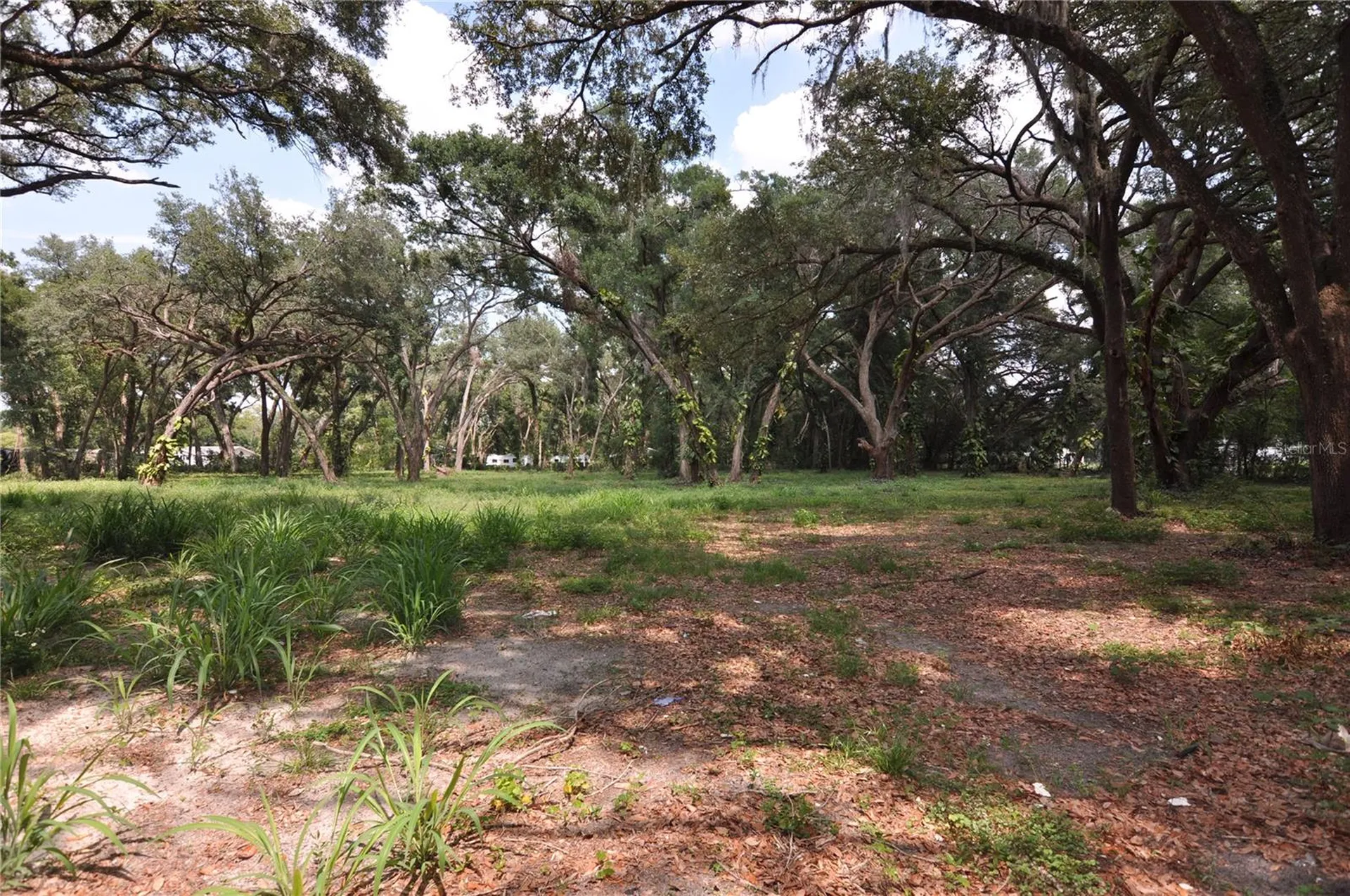 6734 20th Street Zephyrhills FL 33542
