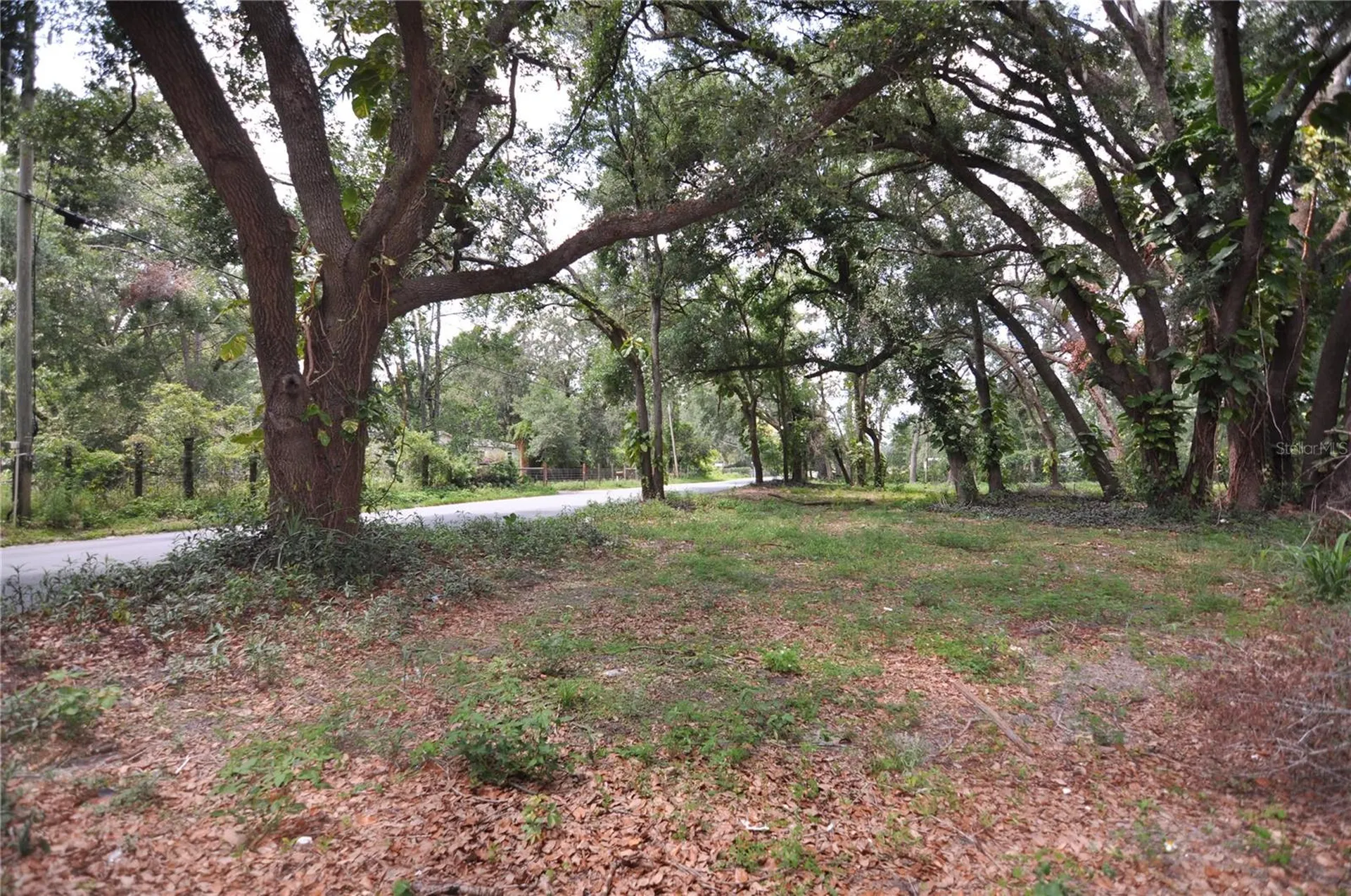6734 20th Street Zephyrhills FL 33542