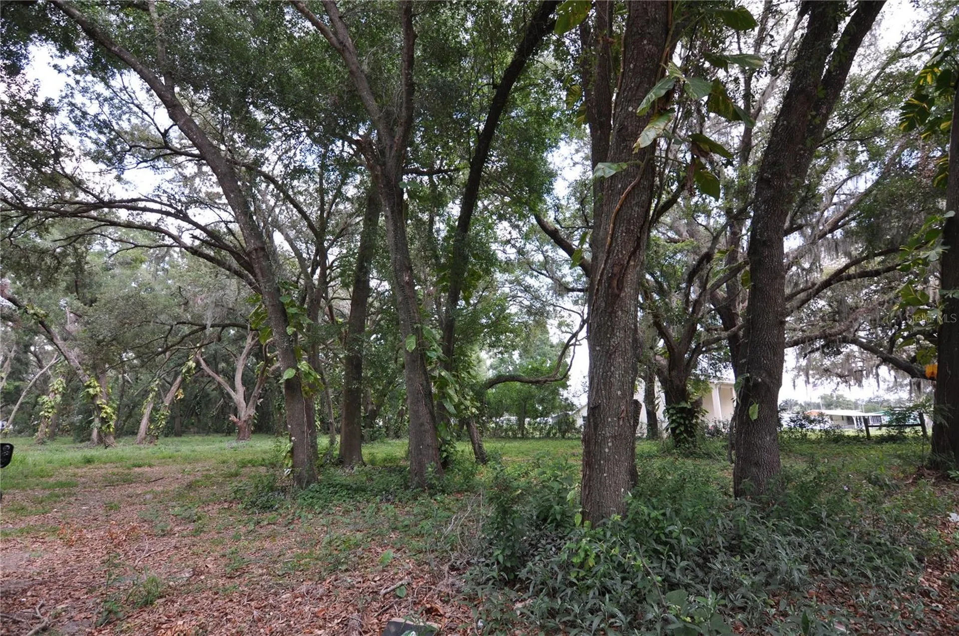 6734 20th Street Zephyrhills FL 33542