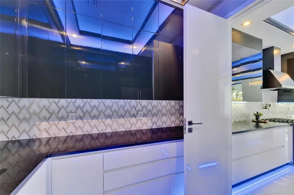 6530 Simone Shores Circle Apollo Beach FL 33572