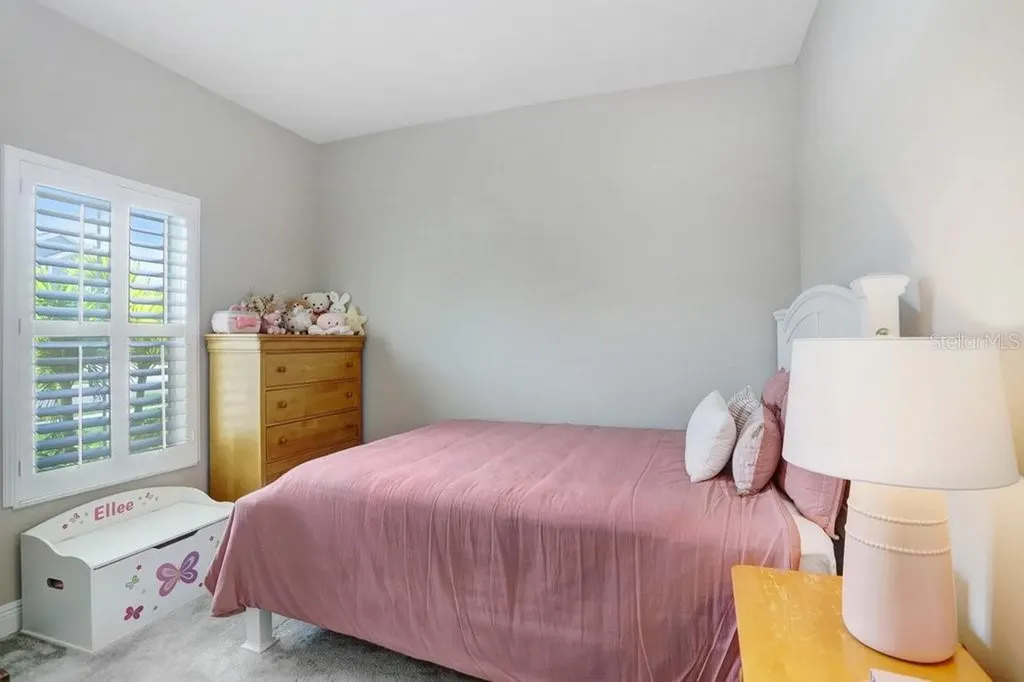 6097 Golden Nettle Drive Apollo Beach FL 33572