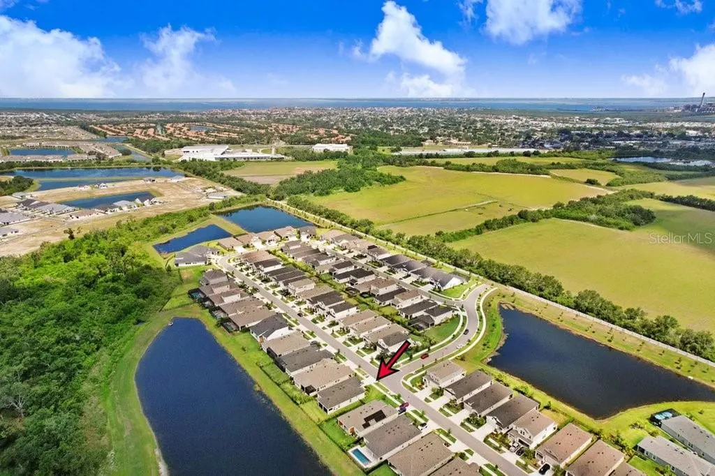 6097 Golden Nettle Drive Apollo Beach FL 33572