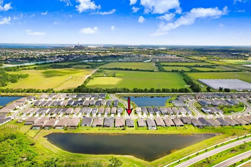 6097 Golden Nettle Drive Apollo Beach FL 33572