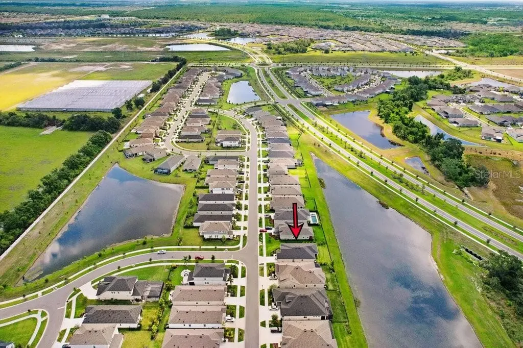 6097 Golden Nettle Drive Apollo Beach FL 33572