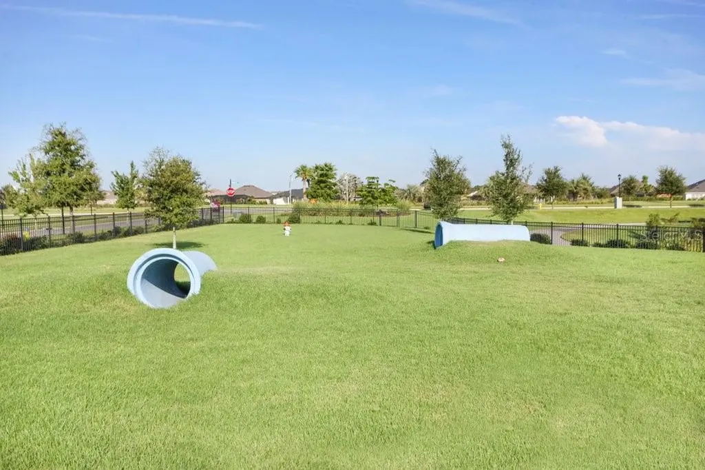 6097 Golden Nettle Drive Apollo Beach FL 33572