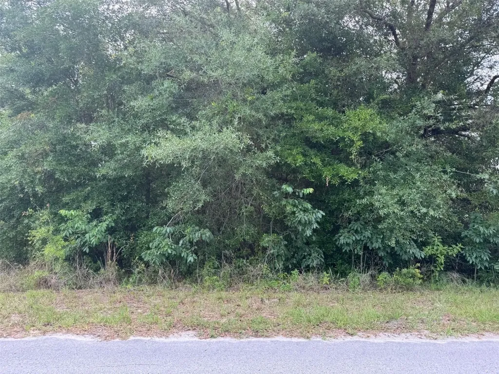 Lot 422 & 423 SW Shorewood Drive Dunnellon FL 34431