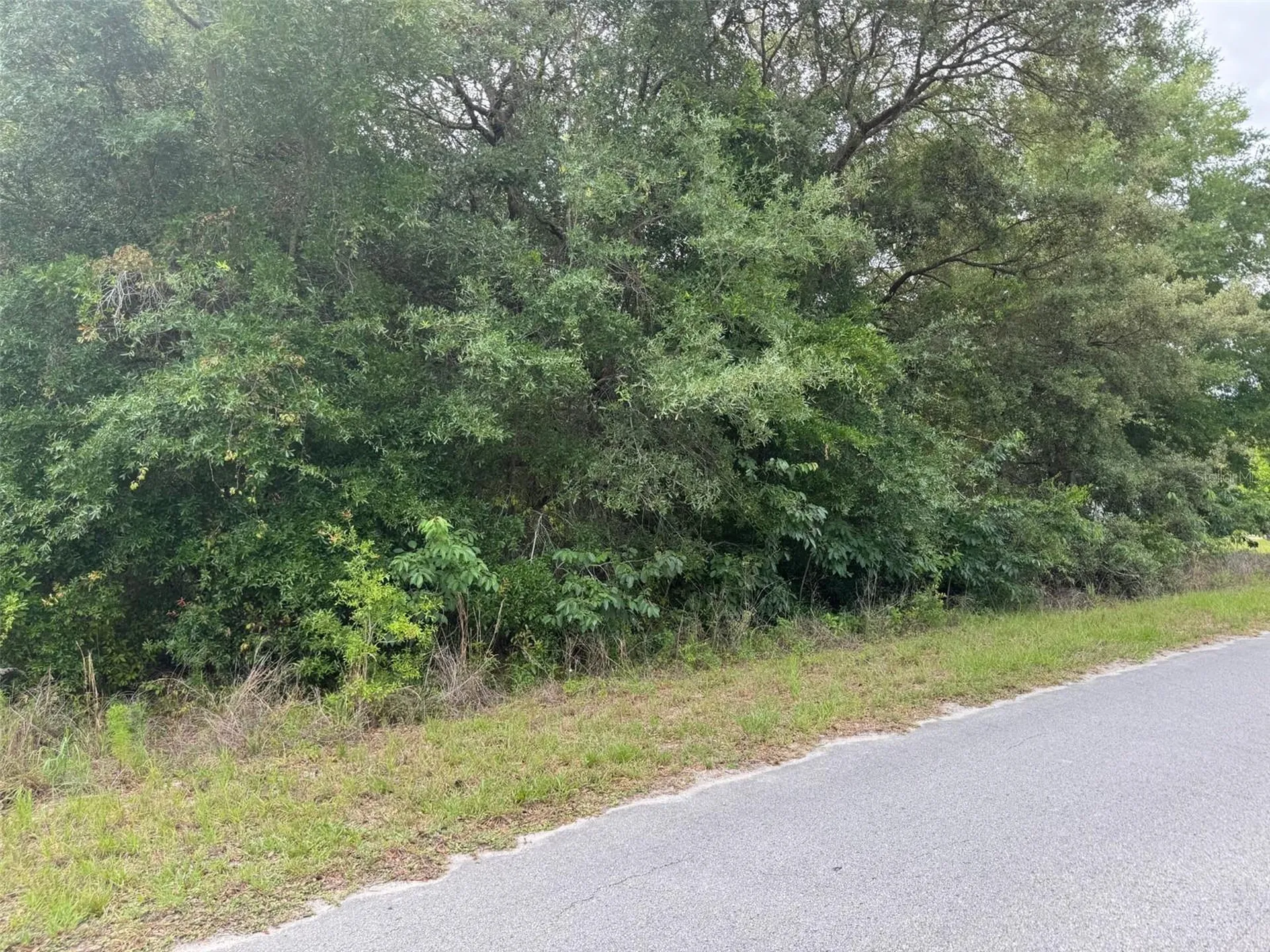 Lot 422 & 423 SW Shorewood Drive Dunnellon FL 34431