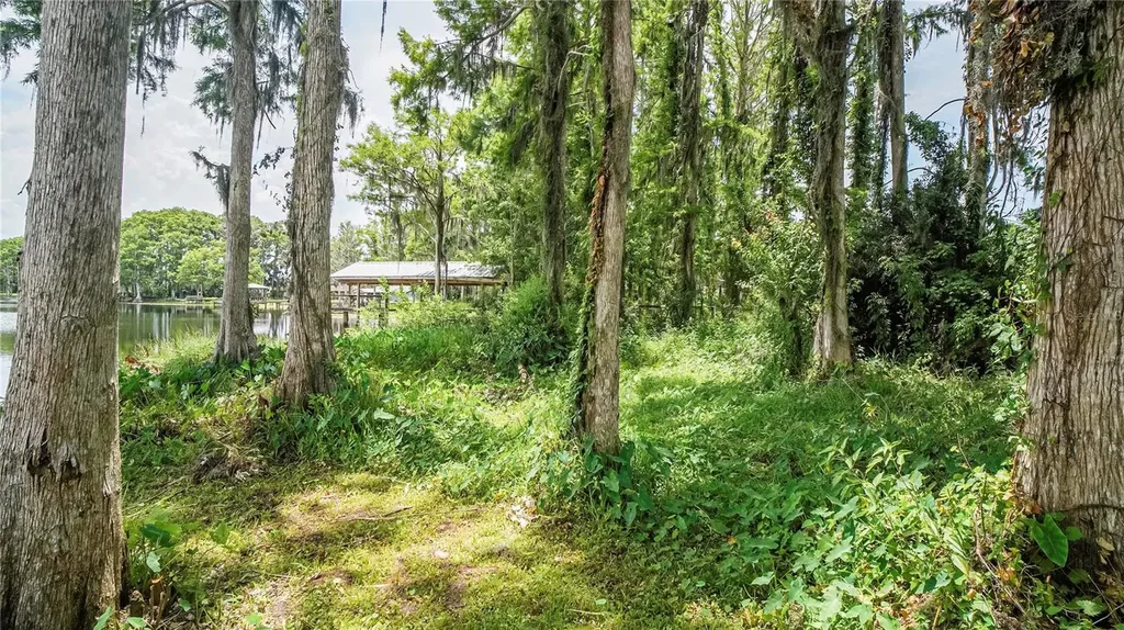 10818 Land O Lakes Boulevard Land O Lakes FL 34638