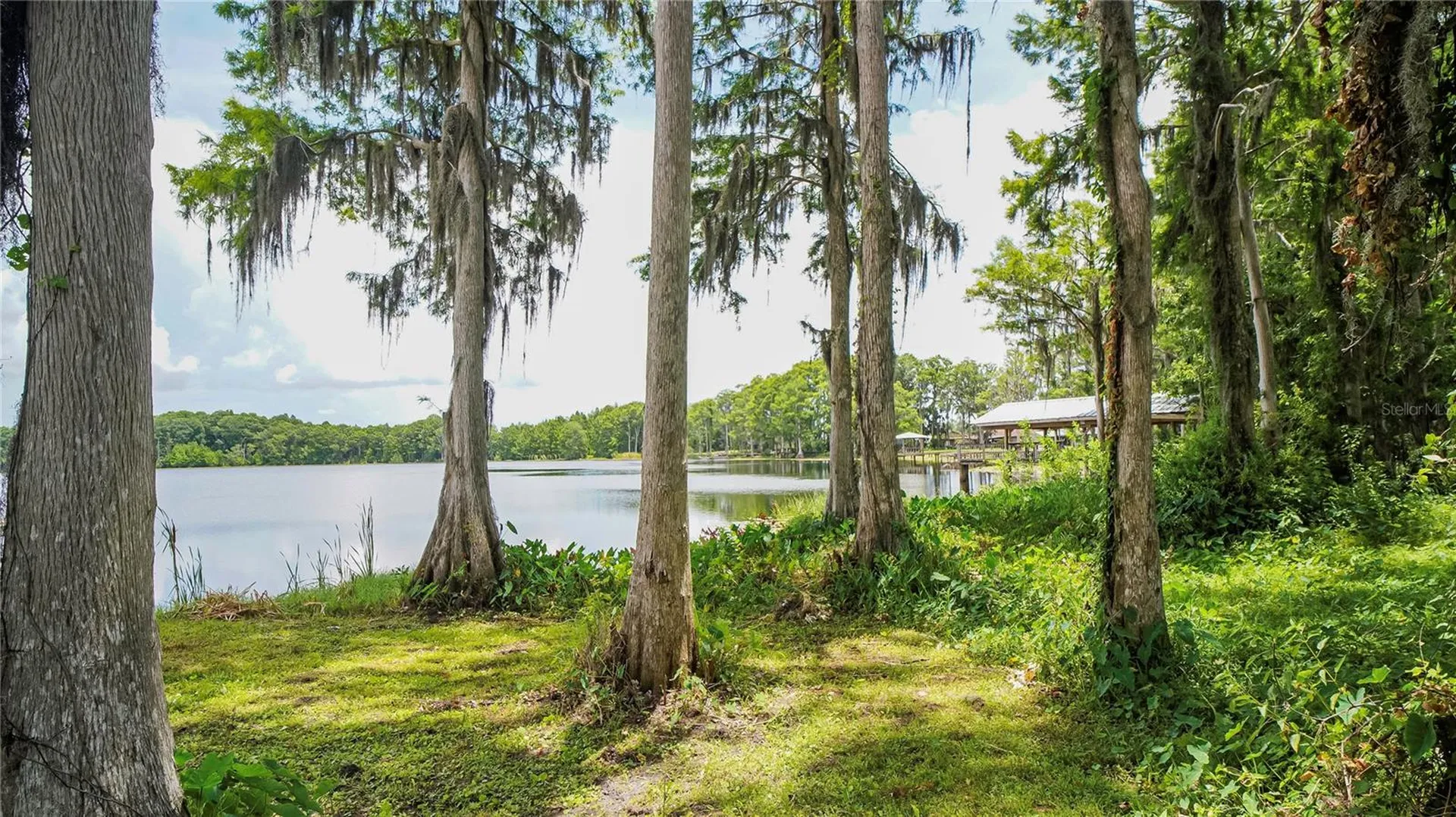 10818 Land O Lakes Boulevard Land O Lakes FL 34638