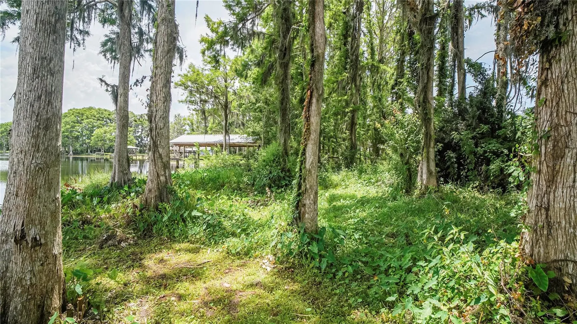 10818 Land O Lakes Boulevard Land O Lakes FL 34638
