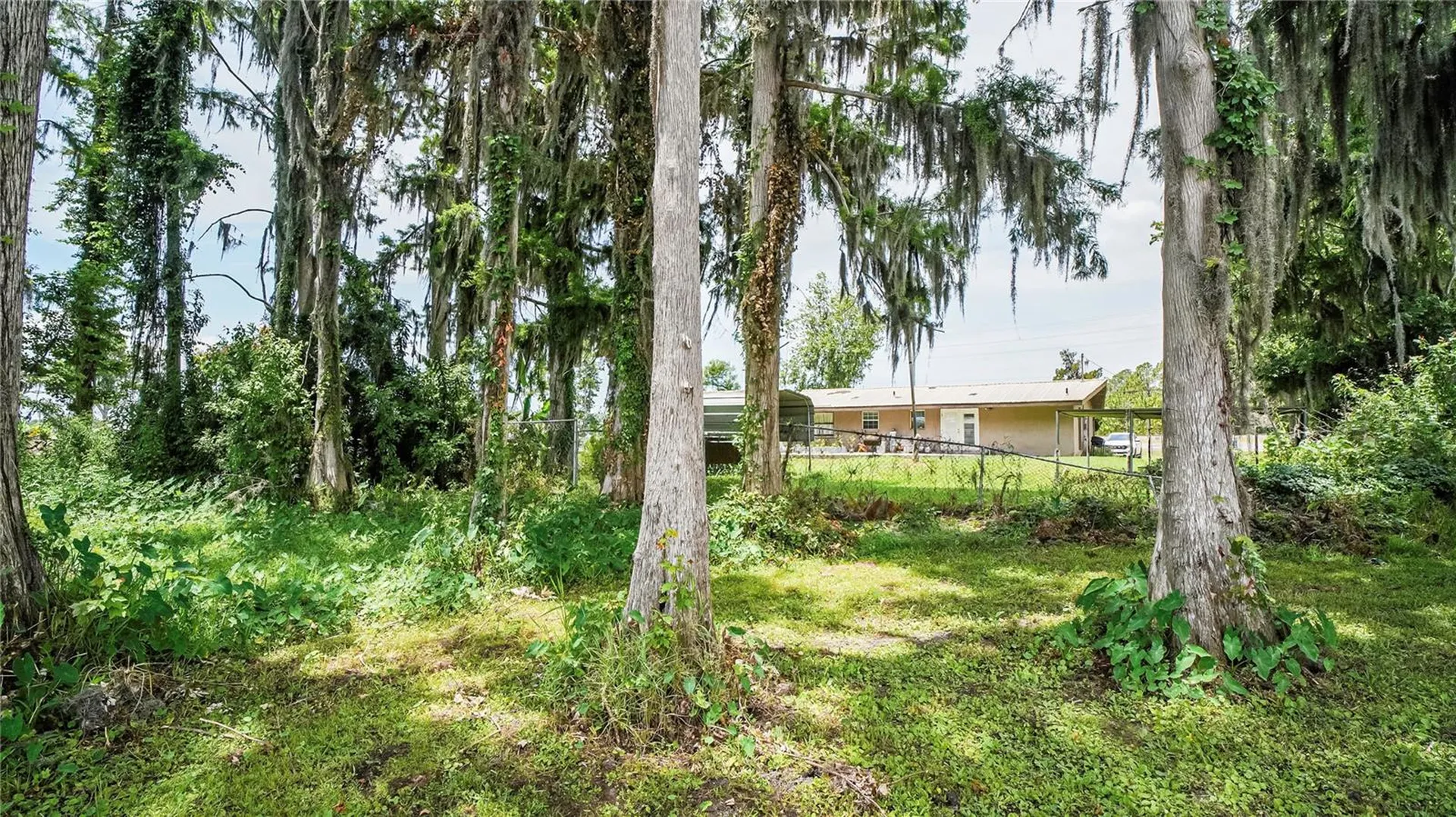 10818 Land O Lakes Boulevard Land O Lakes FL 34638