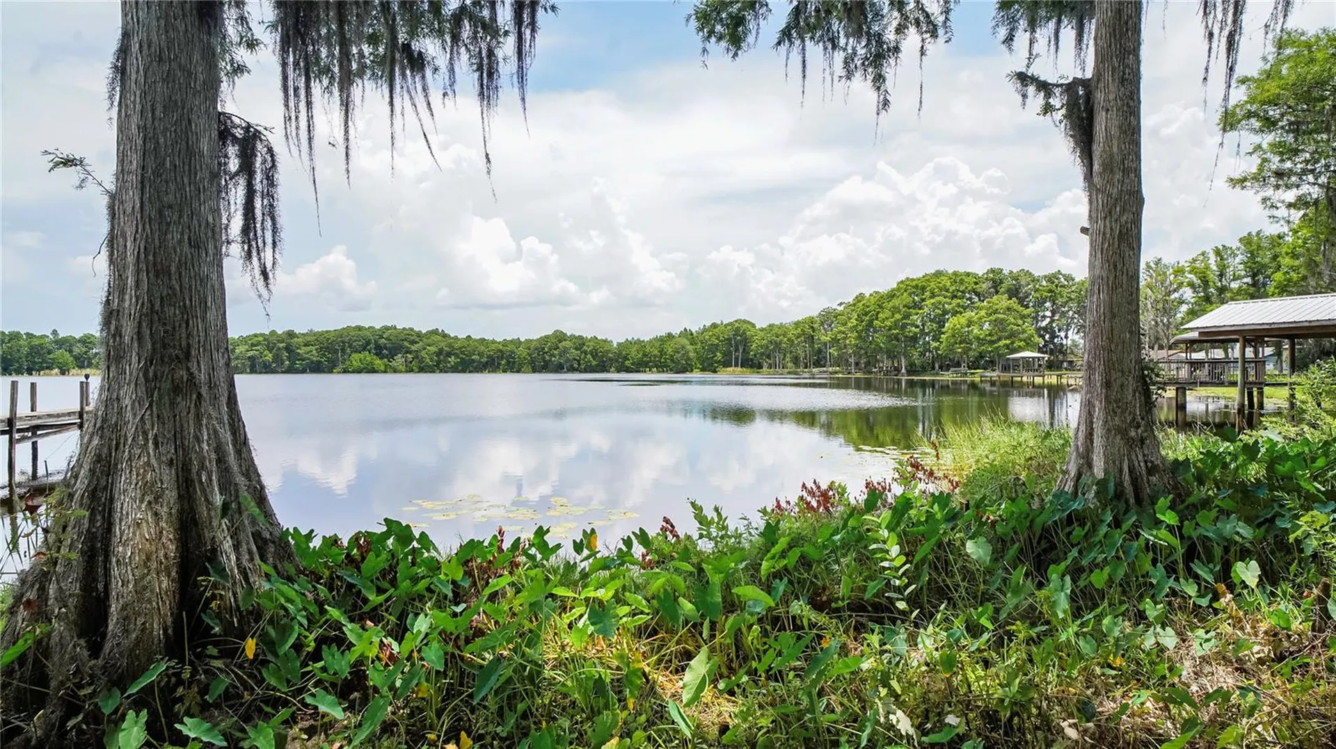 10818 Land O Lakes Boulevard Land O Lakes FL 34638