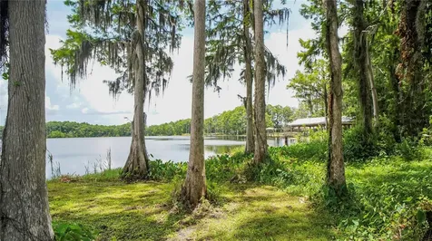 10818 Land O Lakes Boulevard Land O Lakes FL 34638