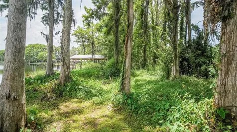 10818 Land O Lakes Boulevard Land O Lakes FL 34638