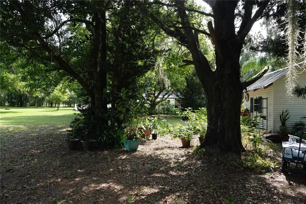22839 Bungalow Lane Land O Lakes FL 34639