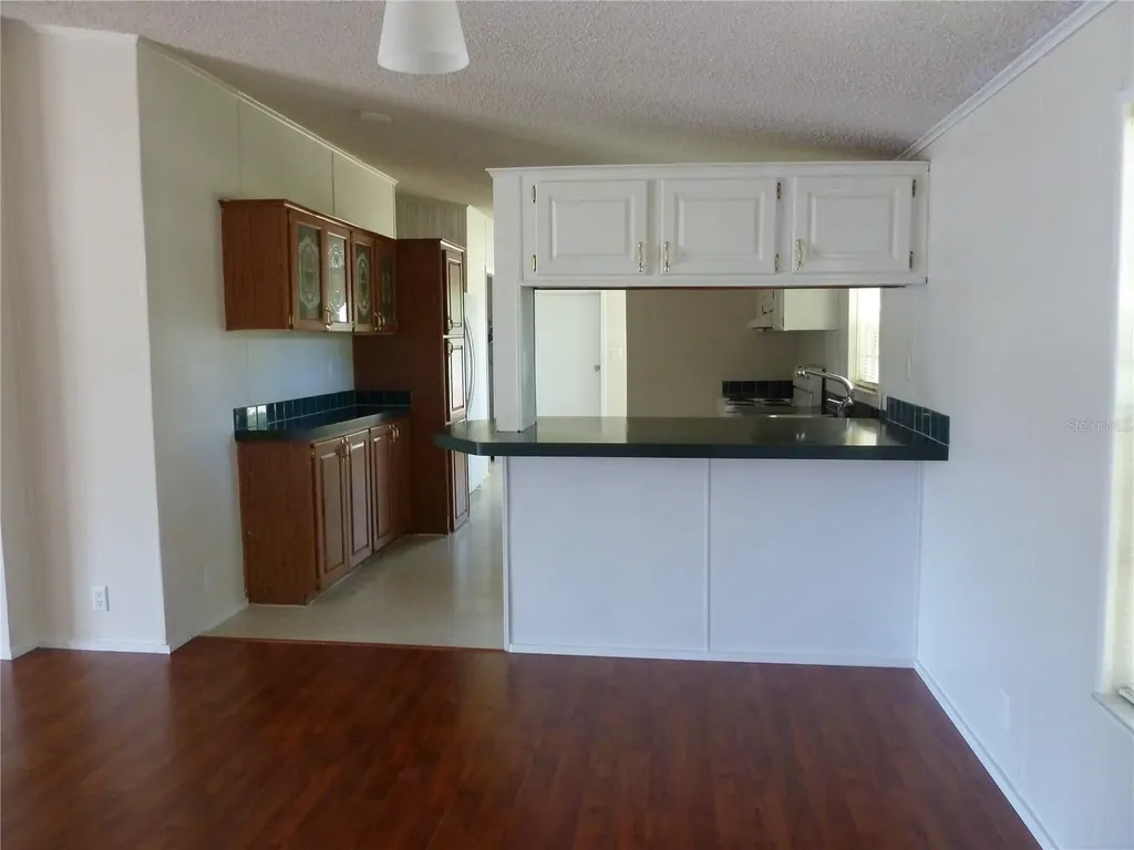 22839 Bungalow Lane Land O Lakes FL 34639