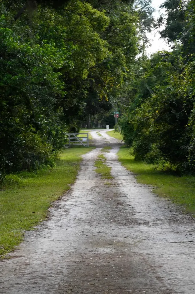 22839 Bungalow Lane Land O Lakes FL 34639