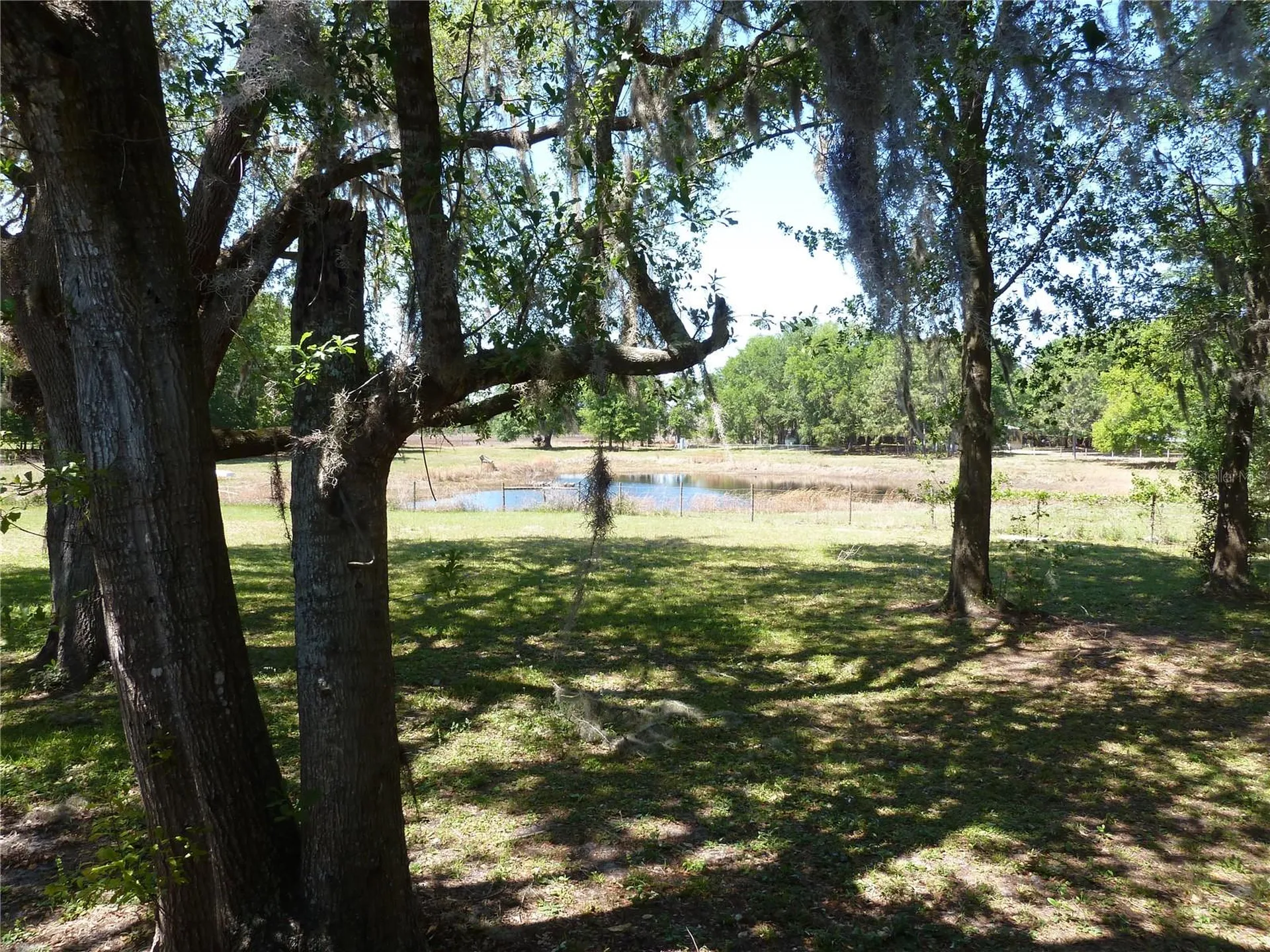 22839 Bungalow Lane Land O Lakes FL 34639