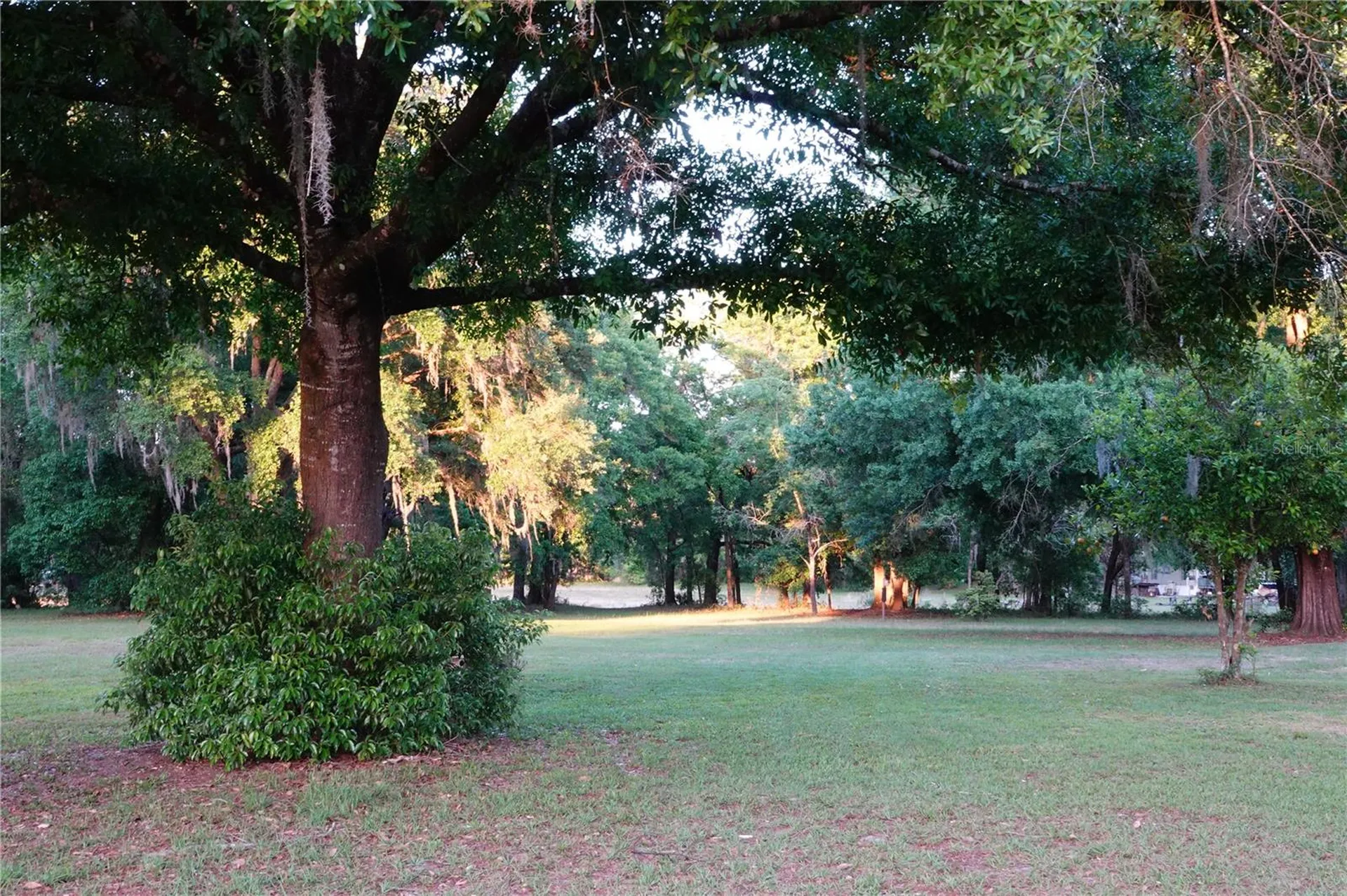 22839 Bungalow Lane Land O Lakes FL 34639