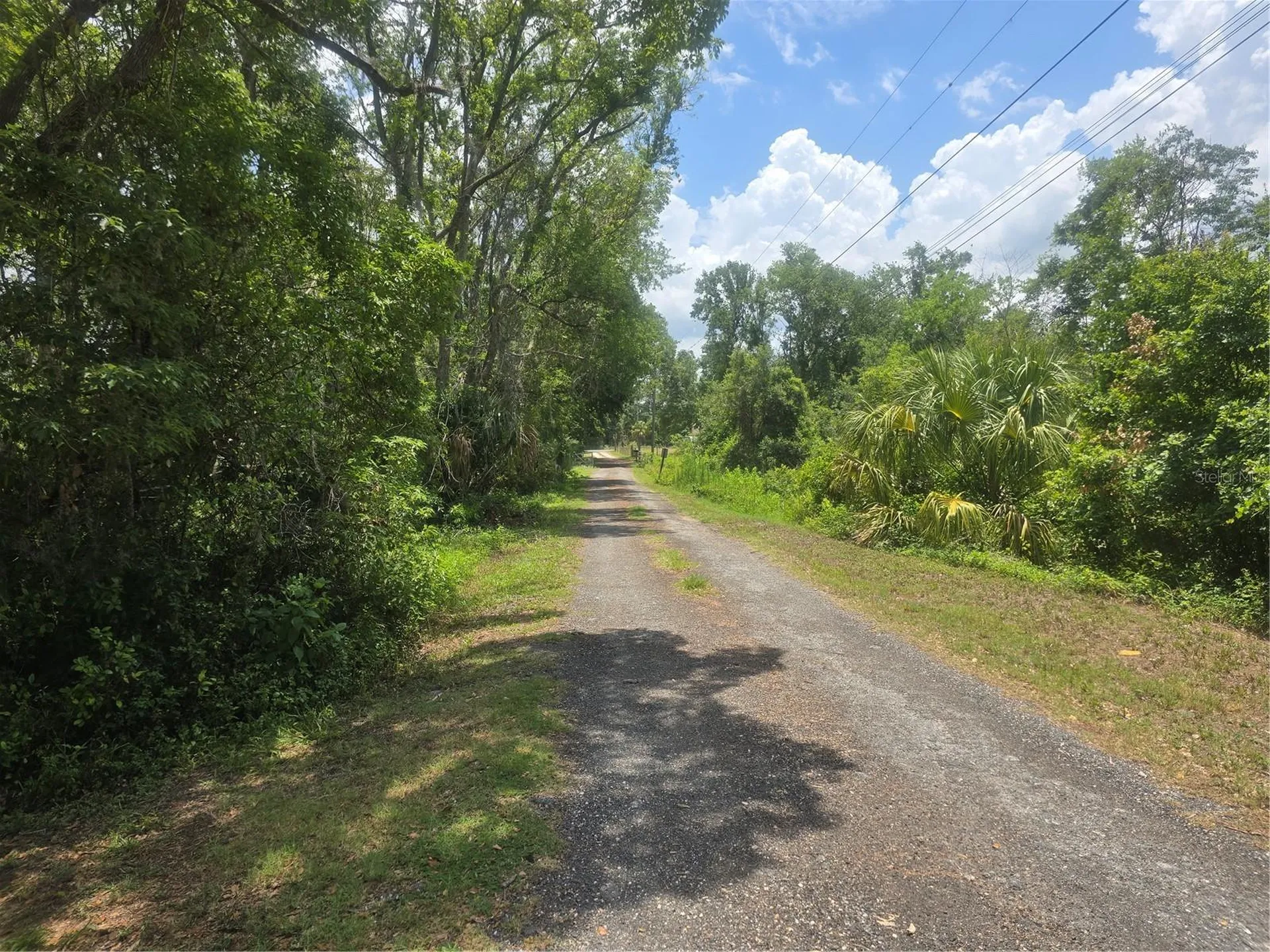 22839 Bungalow Lane Land O Lakes FL 34639