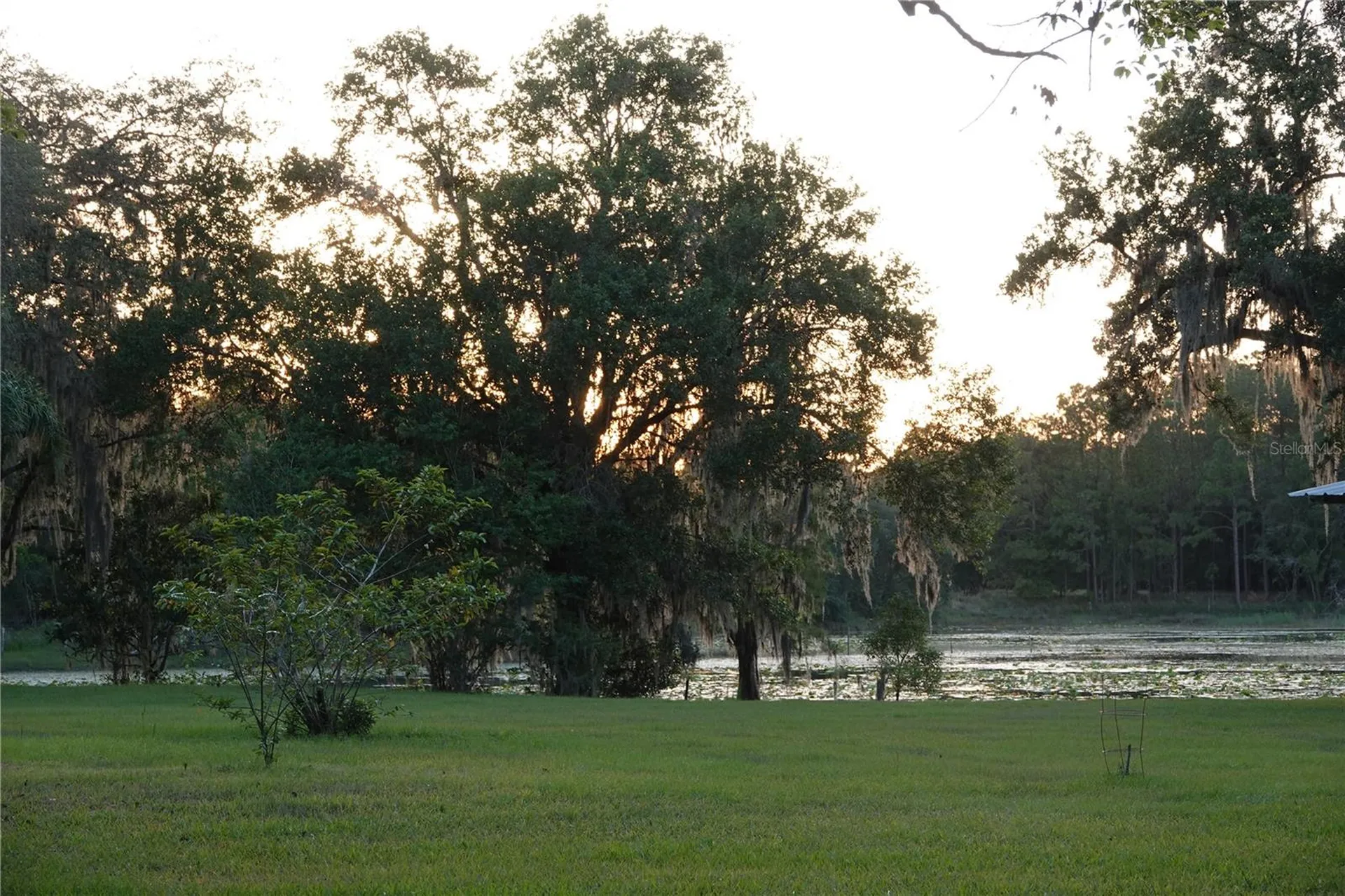 22839 Bungalow Lane Land O Lakes FL 34639