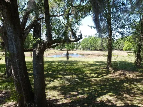 22839 Bungalow Lane Land O Lakes FL 34639