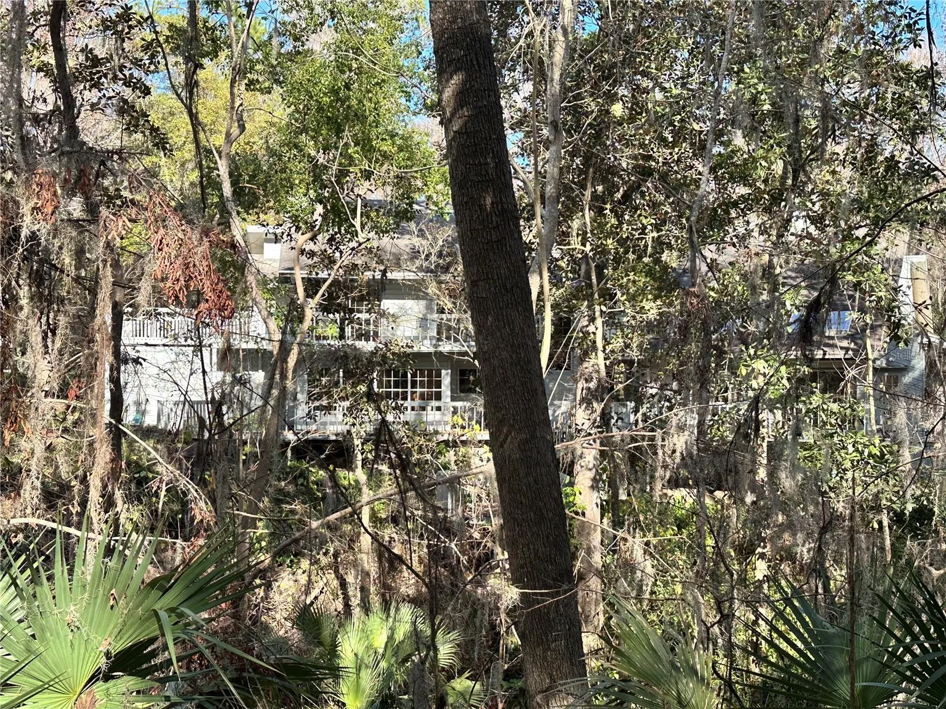 4305 SW 20th Avenue Ocala FL 34471