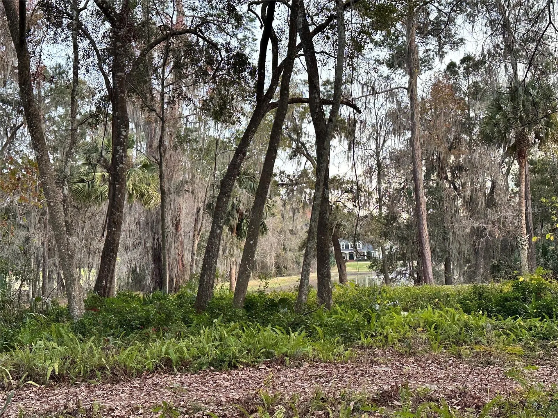 4305 SW 20th Avenue Ocala FL 34471