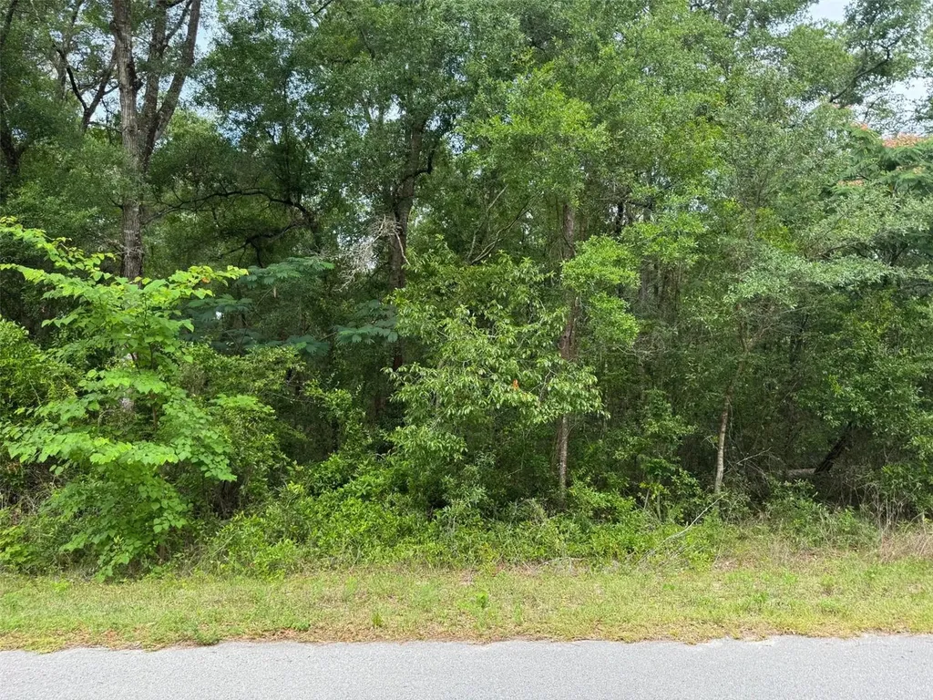 Lot 14 SW Chanel Heights Court Dunnellon FL 34431