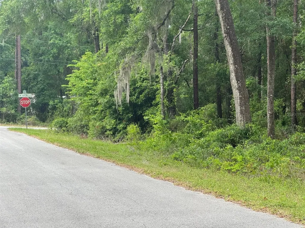 Lot 14 SW Chanel Heights Court Dunnellon FL 34431