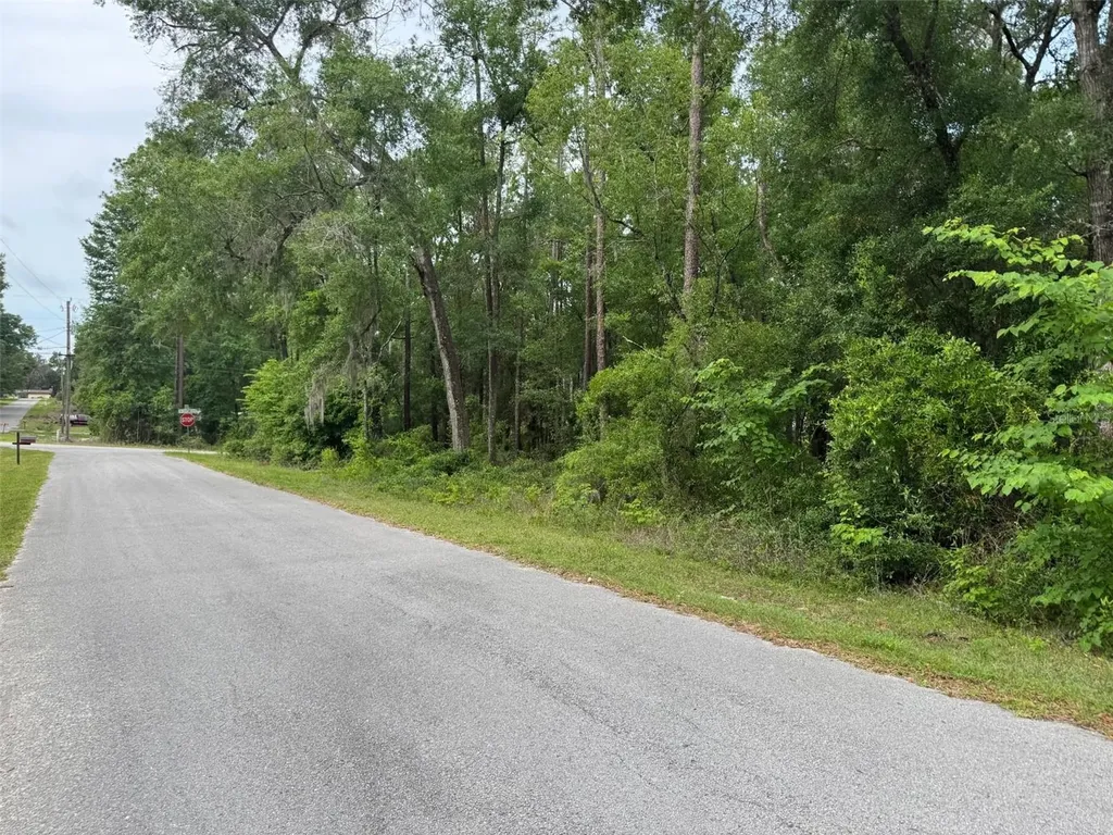 Lot 14 SW Chanel Heights Court Dunnellon FL 34431
