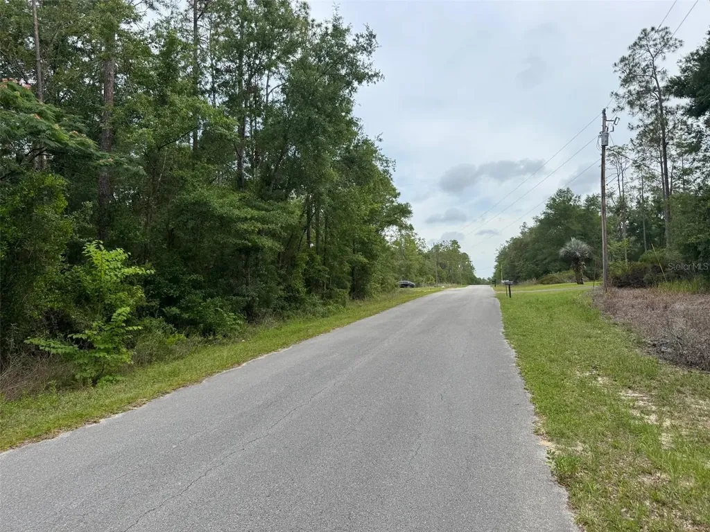 Lot 14 SW Chanel Heights Court Dunnellon FL 34431