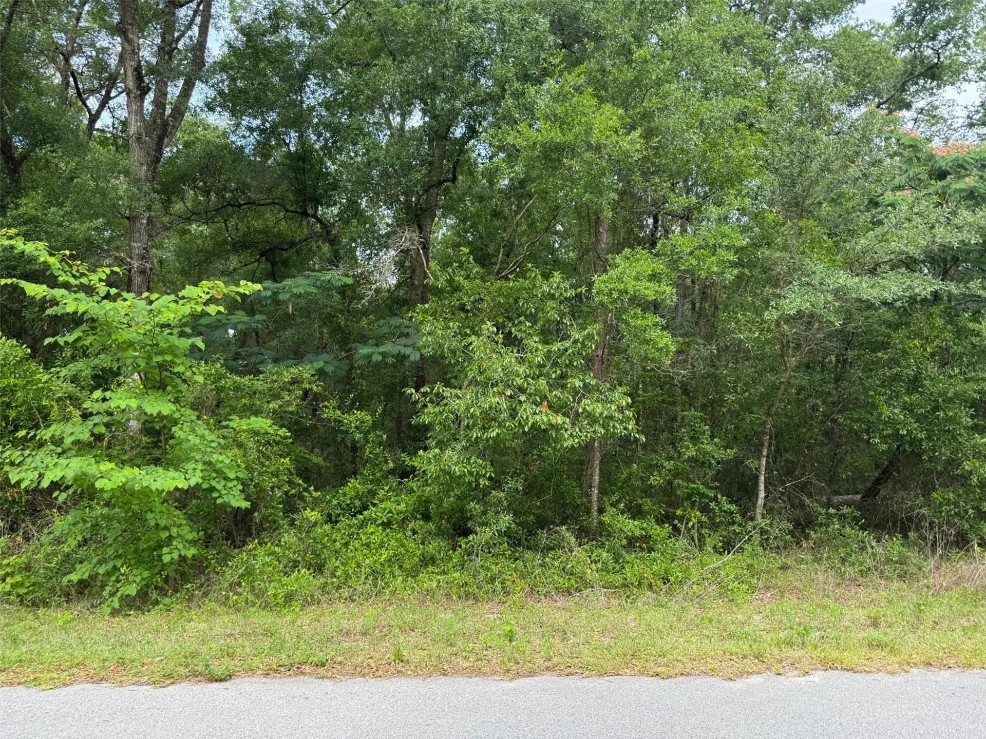 Lot 14 SW Chanel Heights Court Dunnellon FL 34431