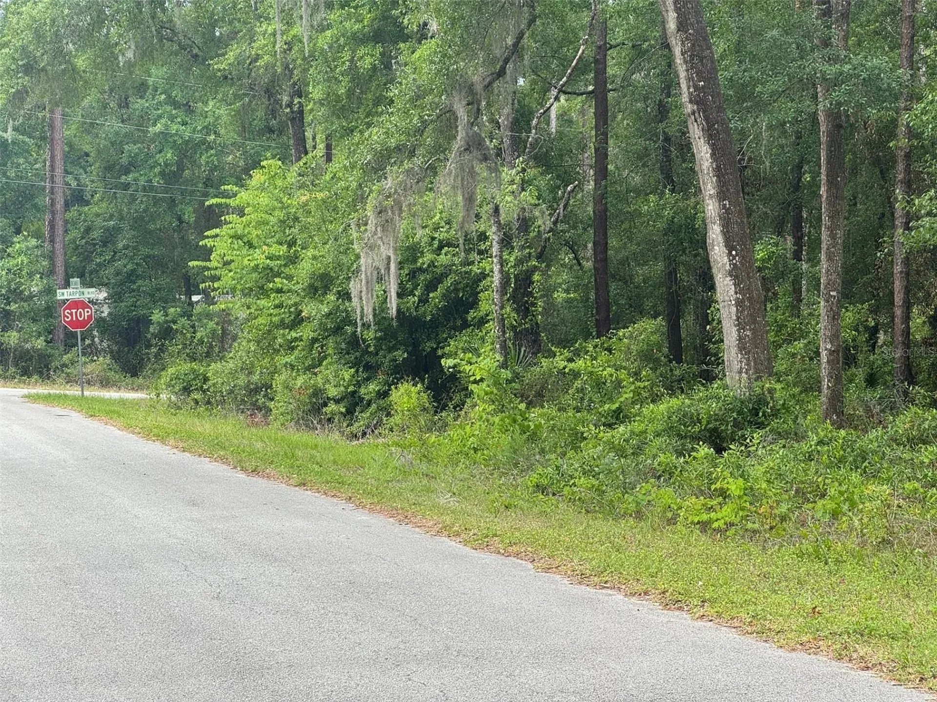 Lot 14 SW Chanel Heights Court Dunnellon FL 34431