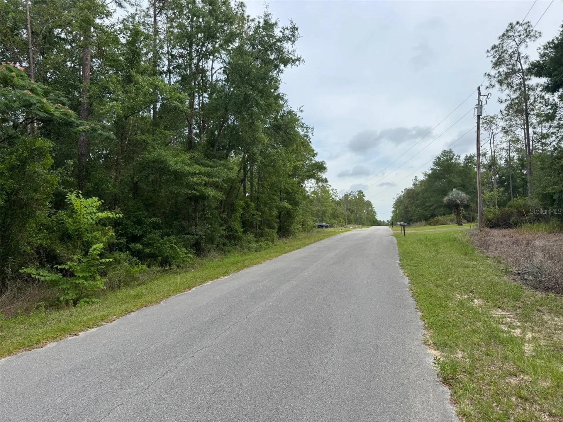 Lot 14 SW Chanel Heights Court Dunnellon FL 34431
