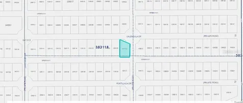 501 Calendula Drive Indian Lake Estates FL 33855