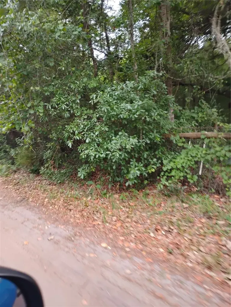 146TH Place Fort Mc Coy FL 32134