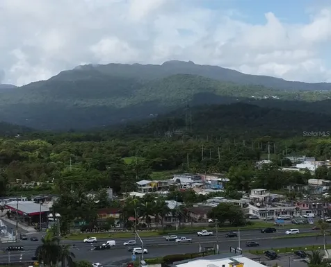 Km Hm 0.2 Road 968 Rio Grande PR 00745