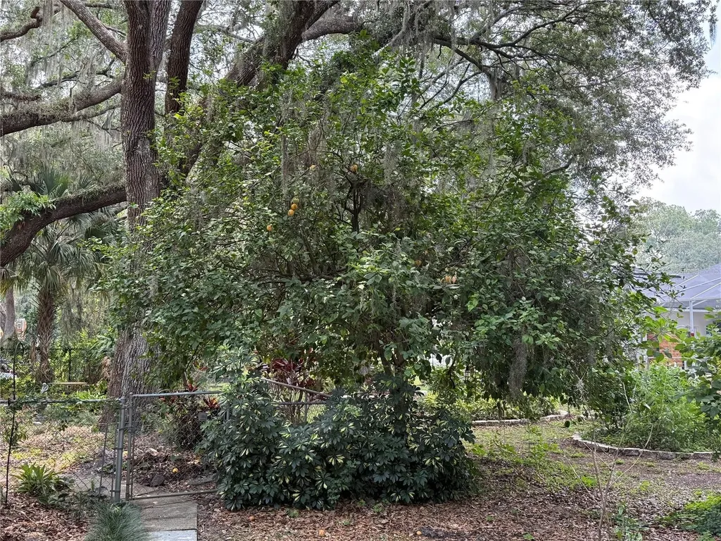 6116 Sweet Gum Run A Bartow FL 33830