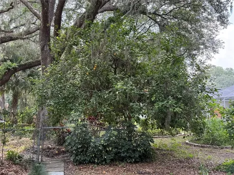 6116 Sweet Gum Run A Bartow FL 33830