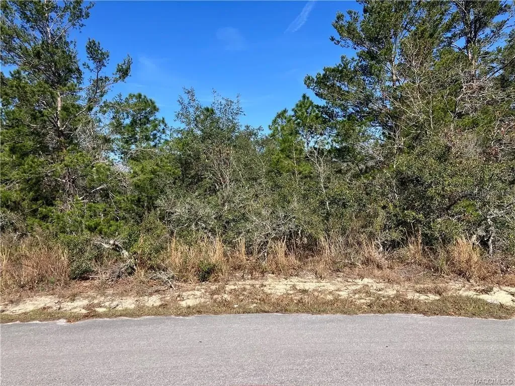 19 Rudbeckia Court Homosassa FL 34446