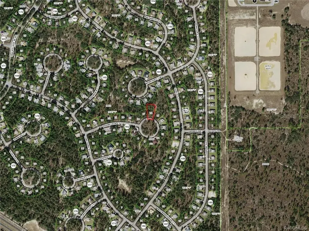 19 Rudbeckia Court Homosassa FL 34446