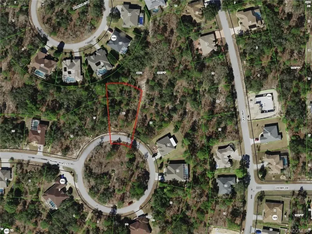 19 Rudbeckia Court Homosassa FL 34446