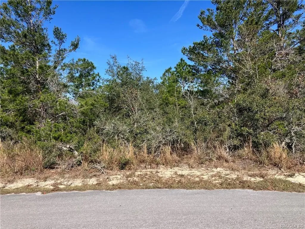 19 Rudbeckia Court Homosassa FL 34446
