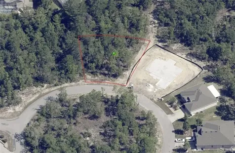 19 Rudbeckia Court Homosassa FL 34446